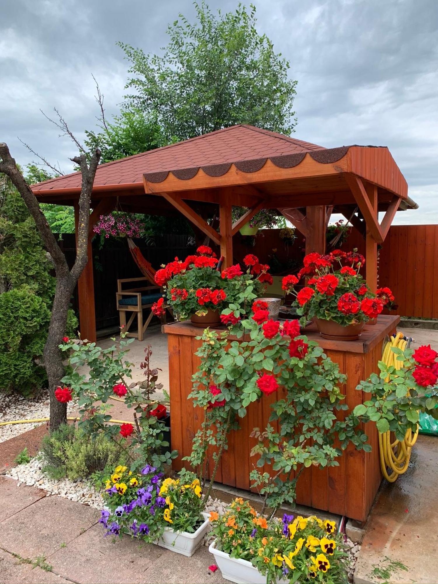 Bed & Breakfast Airport16 3*